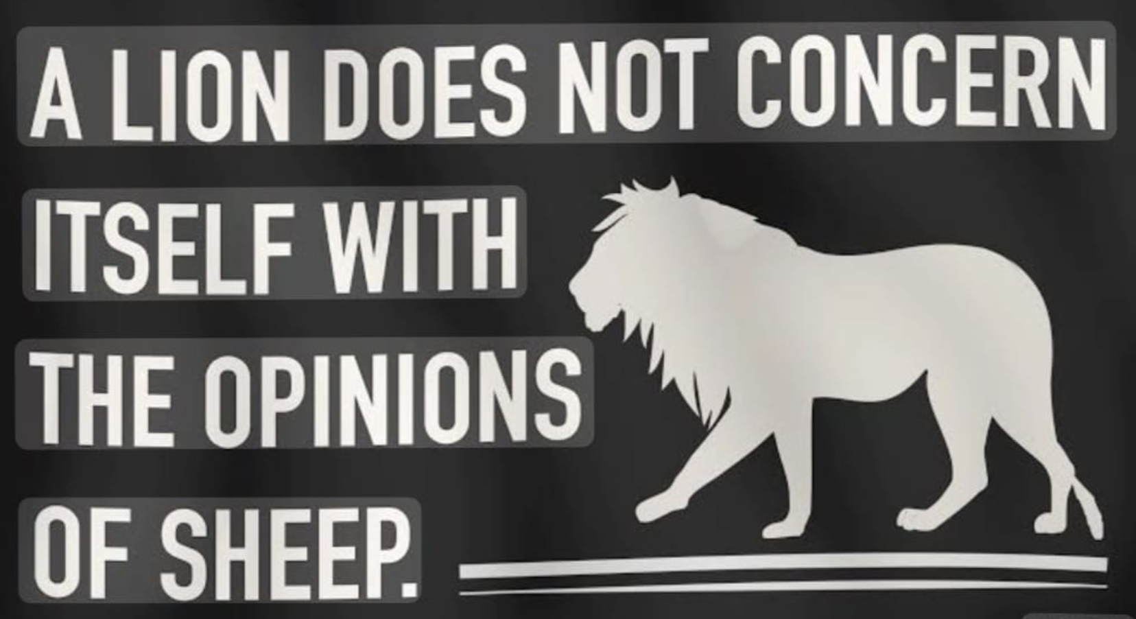 A lion silhouette beside the words: A lion does not concern itself with the opinions of sheep.